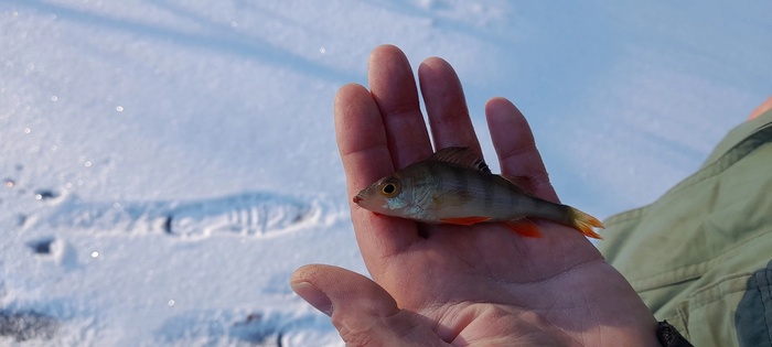 ���� ������ ����� ����� �� ����� �������