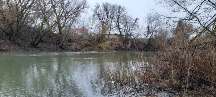 5 ������ ����� ������!�.������.��������� �������.