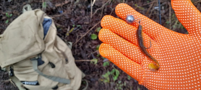 ��������� �������� ���� ����� �������� ������� �����.