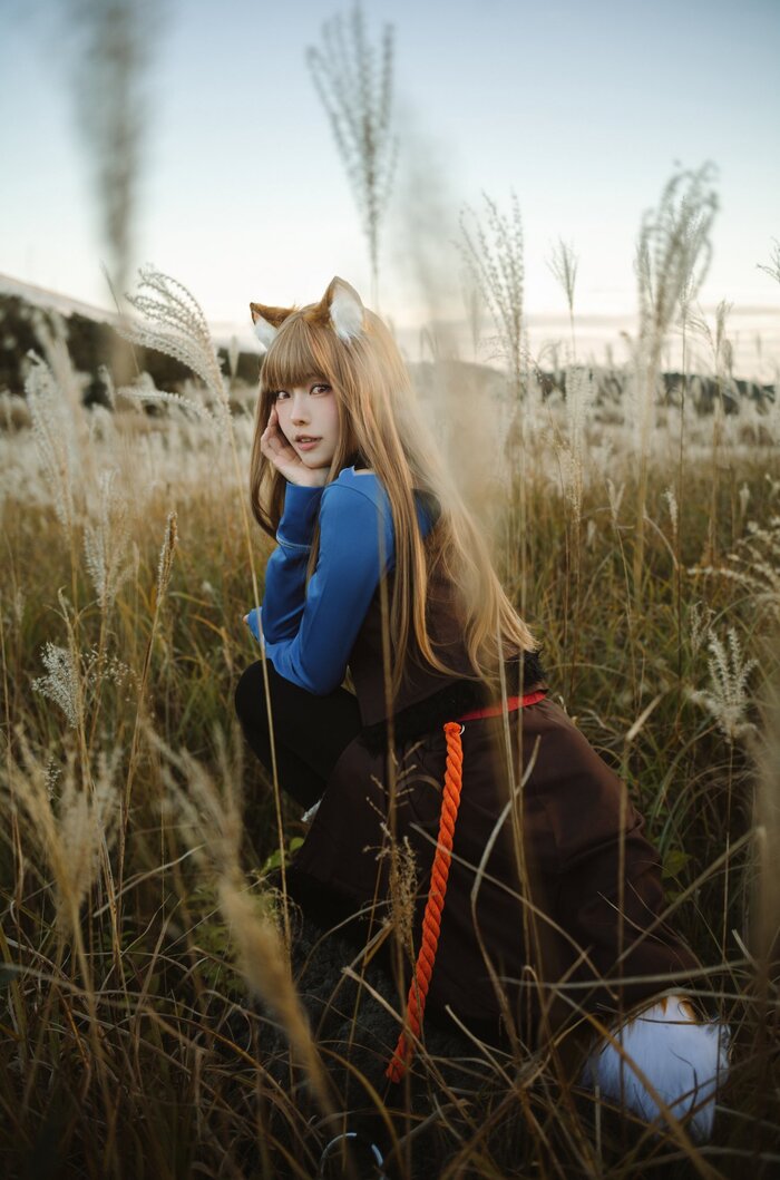 Ookami to Koushinryou | Holo , Spice and Wolf, Holo, Twitter (), , 