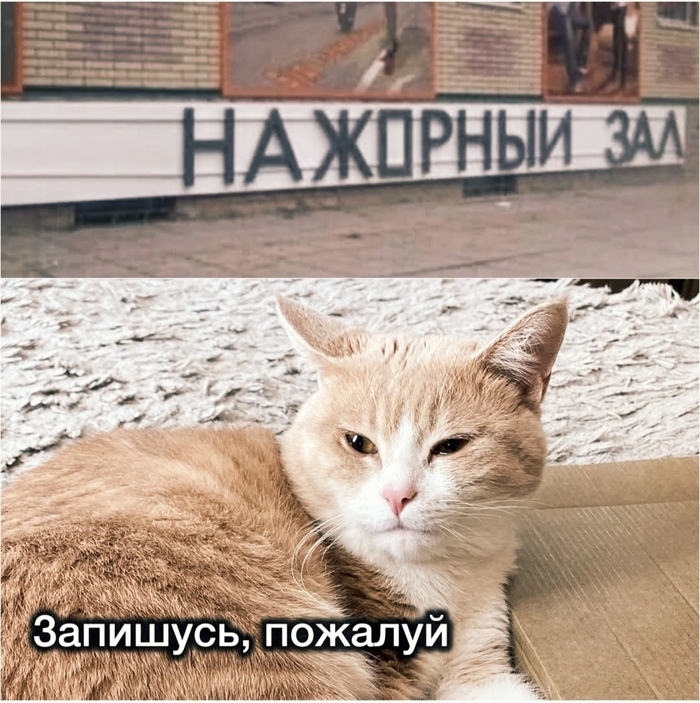        , ,  , ,  , ,  (),  ,   