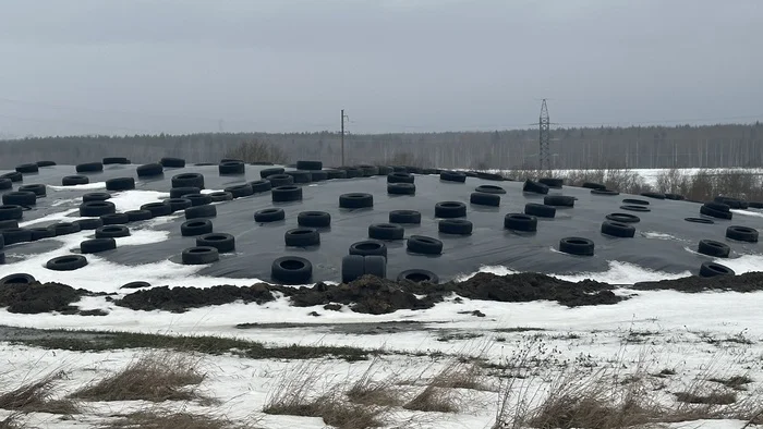 Spring has finally come - My, Positive, Humor, Field, Stupidity, Tires, Suddenly, Ward № 6, Drive, Auto, Motorists, Memes, Spring, Wheels, Madness, Bagheera, Rubber, Longpost