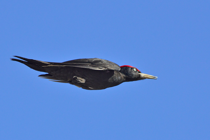 Так задумался, что забыл о физике.