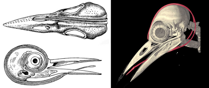 Очень удобно, очень стильно.