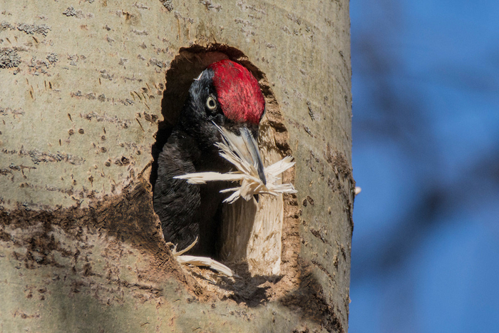 Эх, завтра опять переезд, надоело тут.