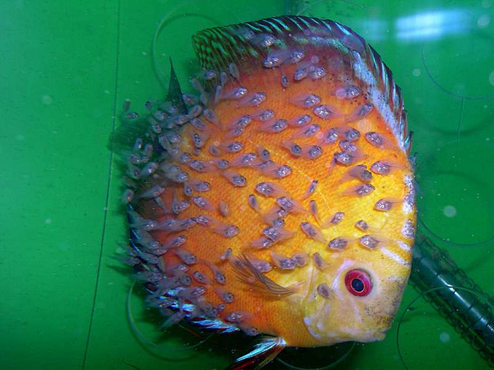         ,    .     ! , ,          .