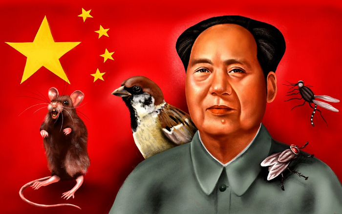 Убийство воробьев считается одним из величайших провалов Мао Цзэдуна в его правлении. Ведь последствия оказались катастрофическими.