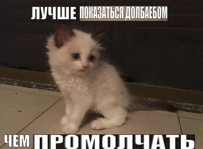        , ,  ,   , 