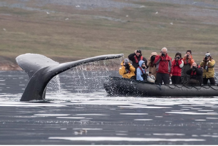 Почему сегодня туризм на Чукотке - дело бесперспективное Чукотка, Туризм, Крайний север, Арктика, Заполярье, Авиация, Аляска, Билибино, Почта России, Длиннопост