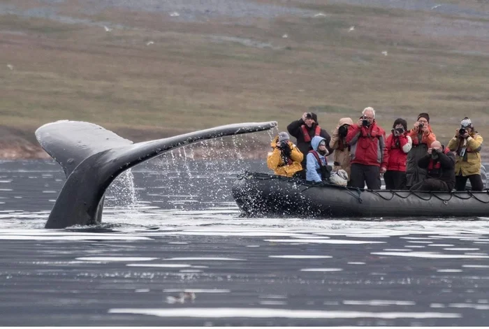 Почему сегодня туризм на Чукотке - дело бесперспективное Чукотка, Туризм, Крайний север, Арктика, Заполярье, Авиация, Аляска, Билибино, Почта России, Длиннопост, Волна постов