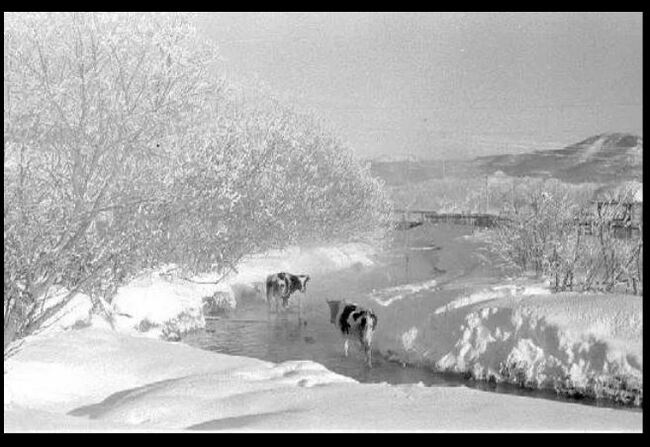 Отдыхайте на курортах Камчатского края