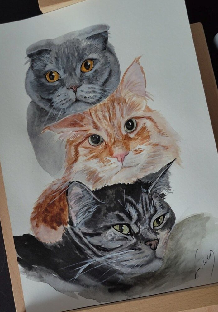  43  , , ,  ,  , 
