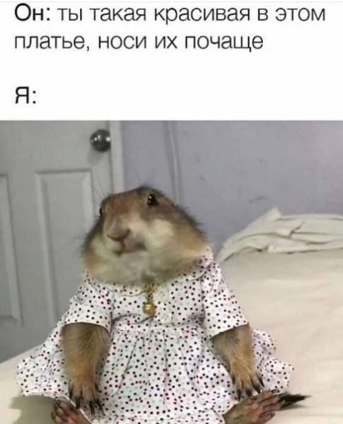   , ,   , ,   , 