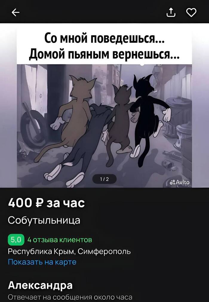       400 .   ,      , ,  , , , , , Telegram (), 