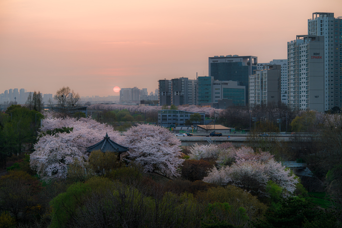 Sony A9M2 + Samyang 35-150/2-2.8