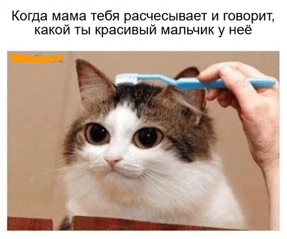 КрасавчеГ ))