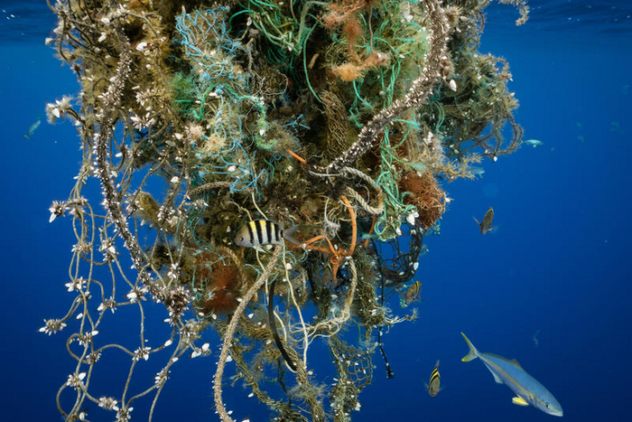 ���� ������� ������ "����" �� ����� � �������