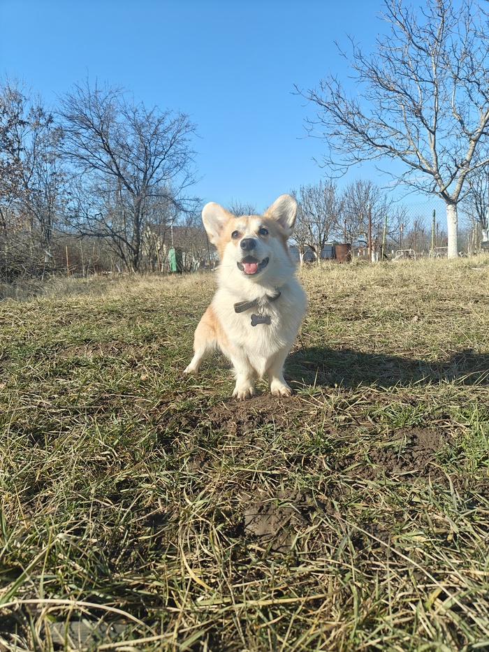 Вот такой солнечный и теплый Краснодарский январь)