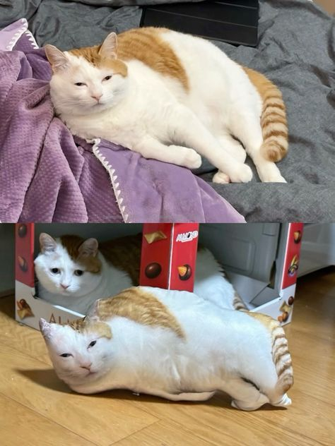 ,   ? , ,  ,  , , , , ,  