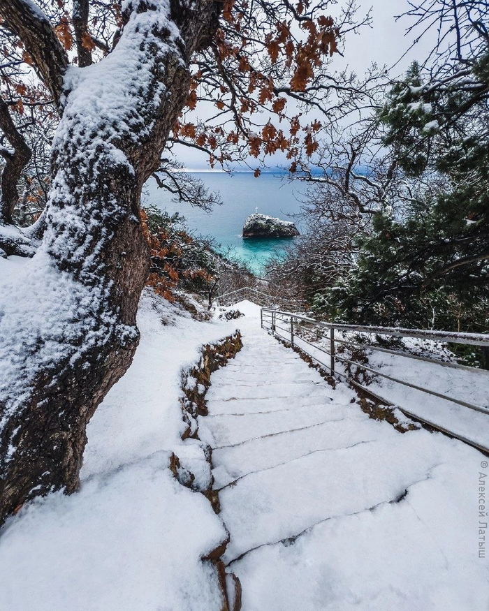 Снежная зима в Крыму - такая редкость