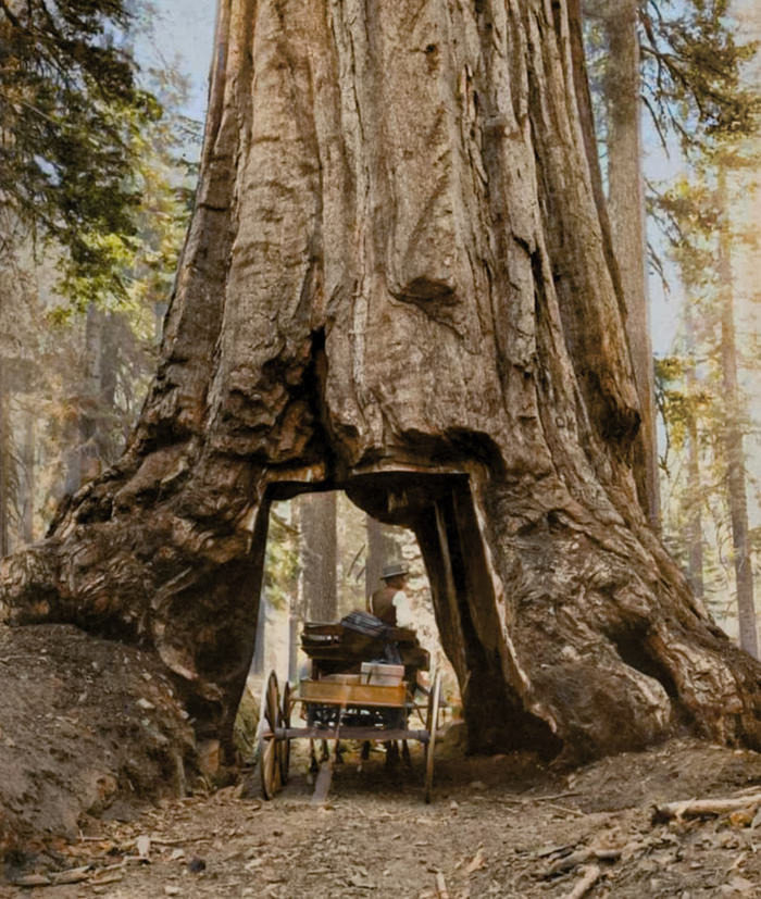 Уникальные исторические кадры, которые перенесут вас в прошлое. 20 раскрашенных фотографий из ХIX века. Часть IV Историческое фото, Старое фото, Фотография, 19 век, Мир, Колоризация, Длиннопост