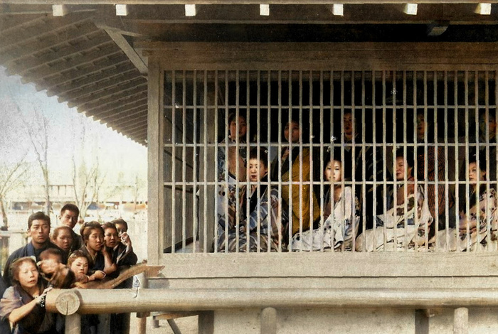 Уникальные исторические кадры, которые перенесут вас в прошлое. 20 раскрашенных фотографий из ХIX века. Часть IV Историческое фото, Старое фото, Фотография, 19 век, Мир, Колоризация, Длиннопост