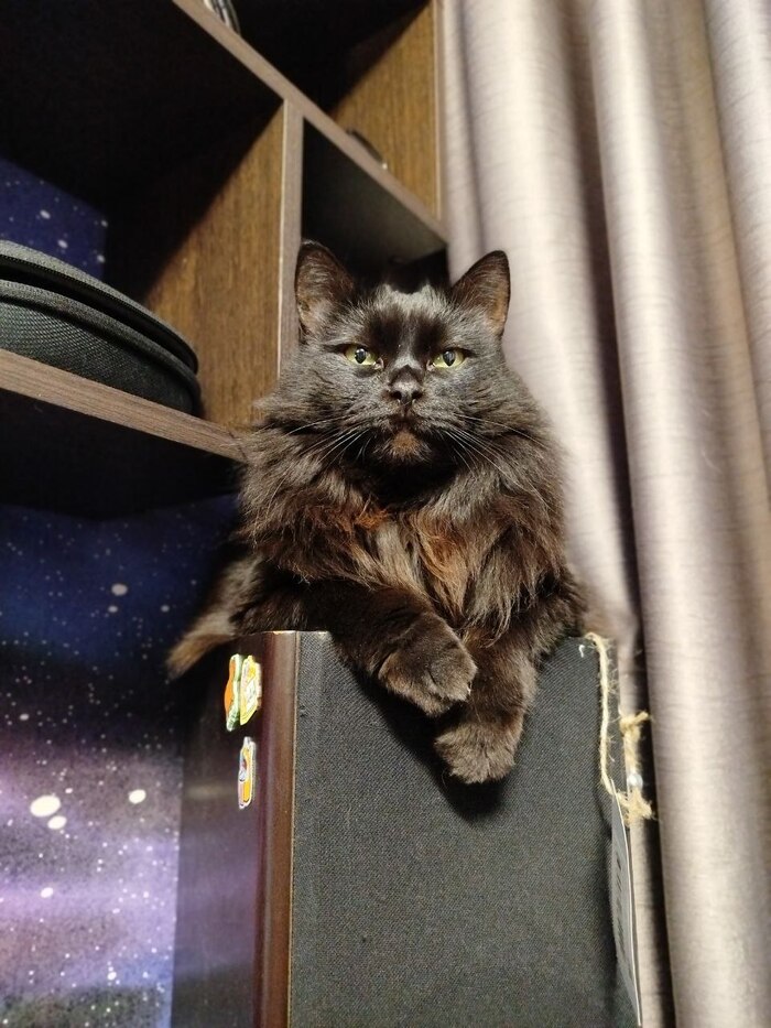 �����. �����, ���������. =) ������ � �����