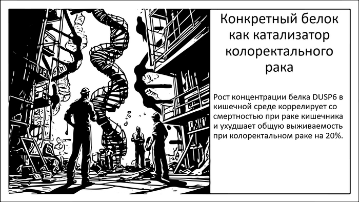      .      , , , ,   , , , , 