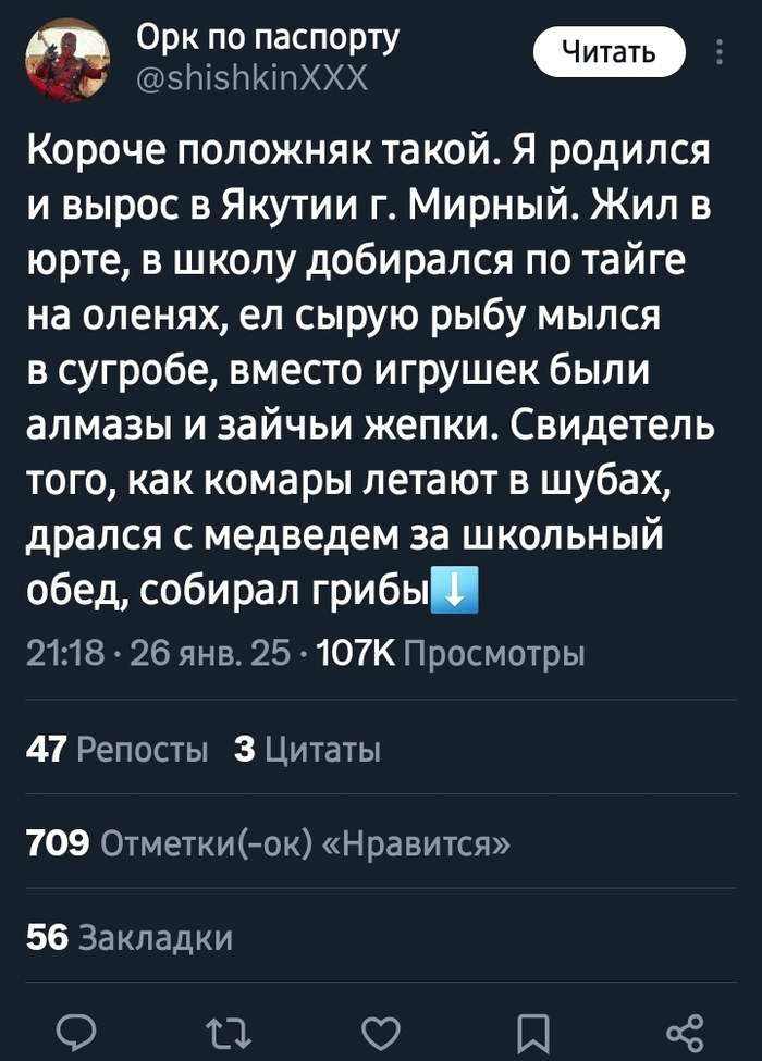    X (Twitter), , , , , , , 