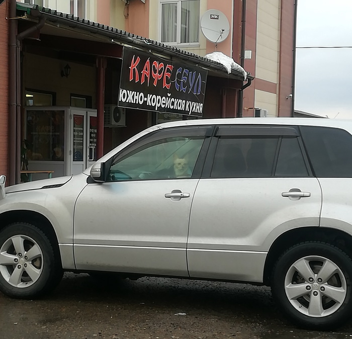 ����� �� ���� ���������� ������� ������ �� ���� ���������