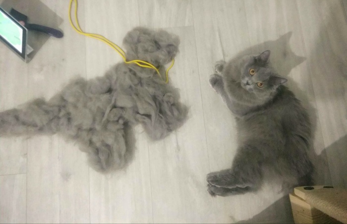   , , ,  ,  , , , , 
