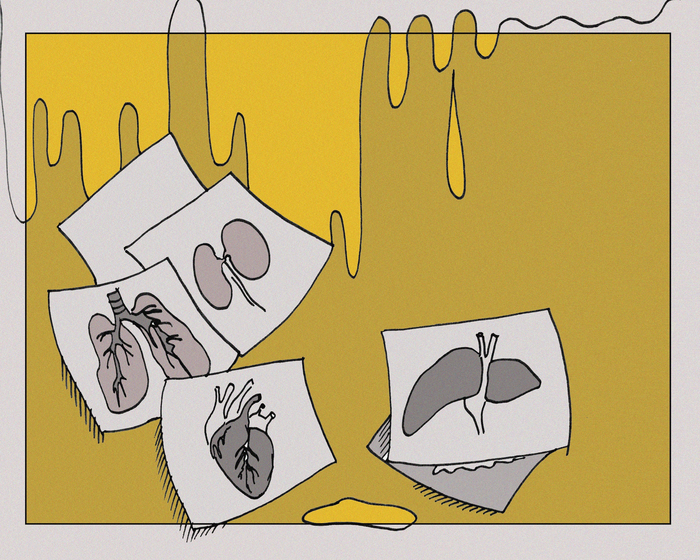   .   : <!--noindex--><a href="https://pikabu.ru/story/khroniki_sazhenska_novaya_zhizn_s_ponedelnika__aleksandr_vladimirov_12302942?u=http%3A%2F%2Fchtivo.spb.ru&t=chtivo.spb.ru&h=e569be29188585fff5a3920bfaa79ad903264e6c" title="http://chtivo.spb.ru" target="_blank" rel="nofollow noopener">chtivo.spb.ru</a><!--/noindex-->