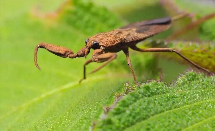 Возьму и укушу тебя на суше. Чтобы неповадно было!