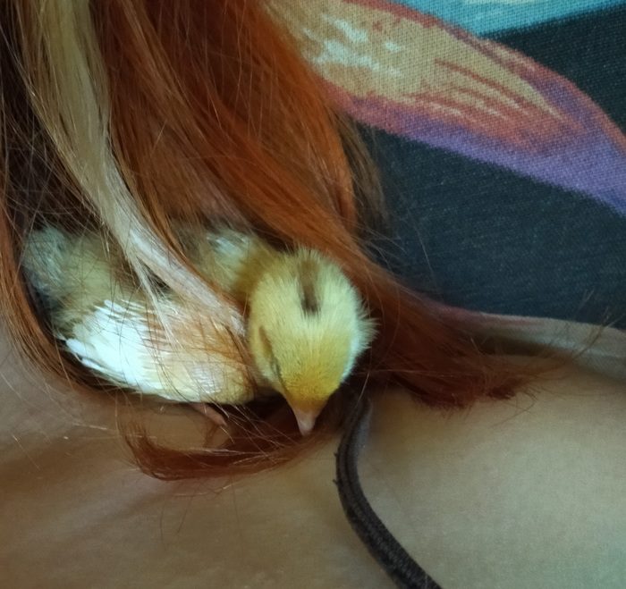 Бульк! Спиииит)))