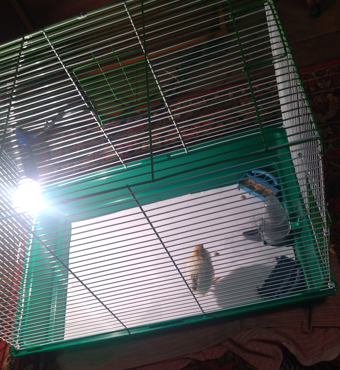 Это тебе не в ведре сидеть. Есть где разгуляться!!!