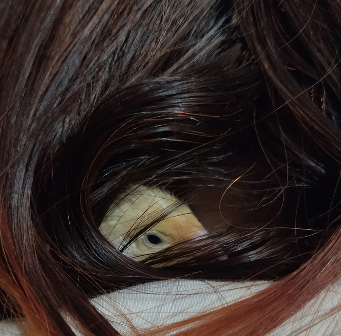 Хуль надо? Моя самка!