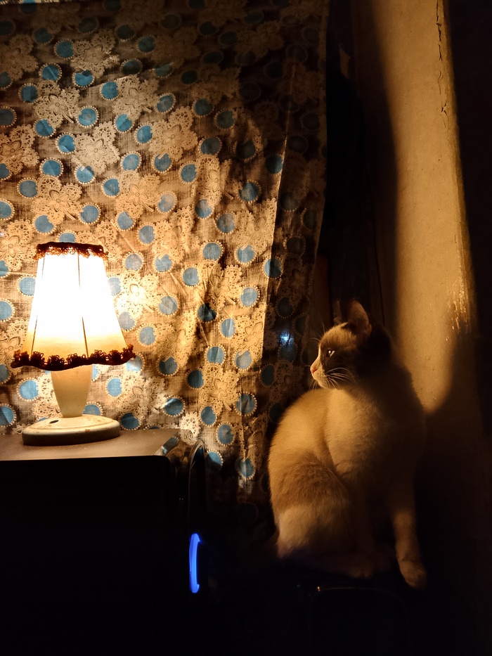 ����������