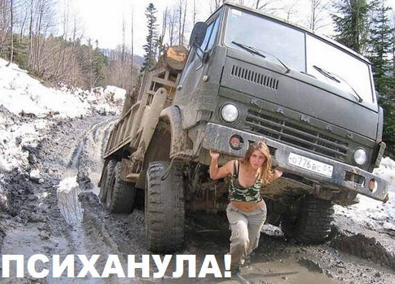 , ...   , , , , , Telegram ()