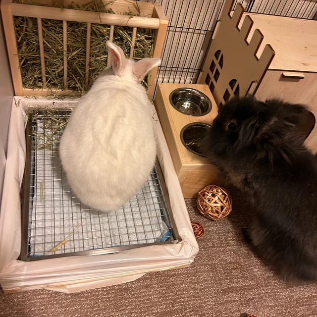 ������ �������������� ������