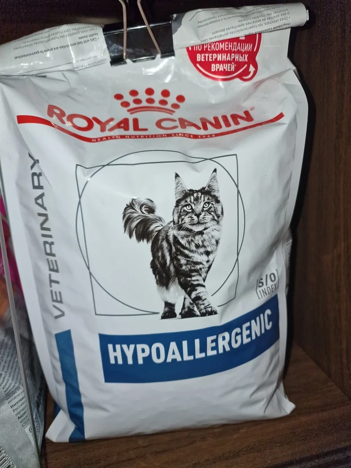Continue continue or search for miracle food - My, Cat lovers, Fluffy, cat, Small cats, Tricolor cat, Fat cats, Veterinary, Longpost