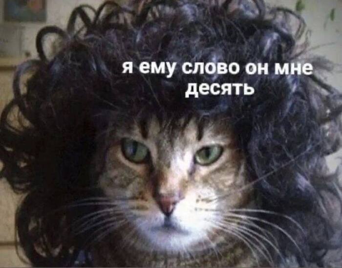 ������ �����? ��� ���� ��������� �� ���� �������