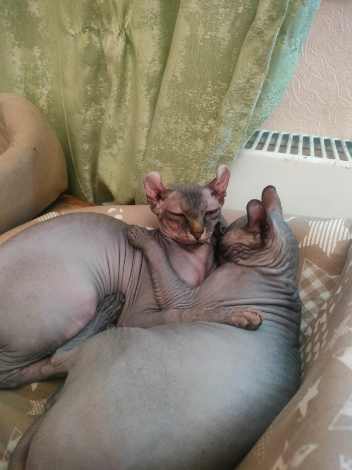 Жизнь как она есть