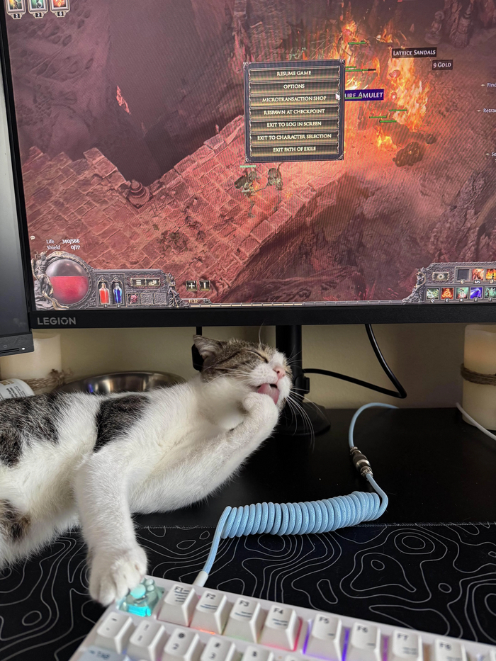        Path of Exile 2, Path of Exile, ,  , -, ,  