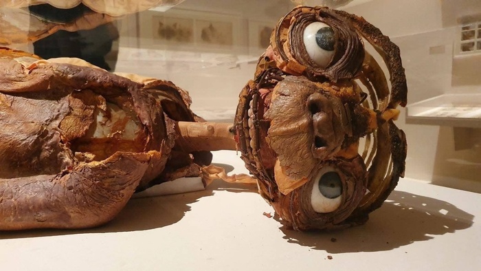    E.T.    (1982) ,  1982, , , 