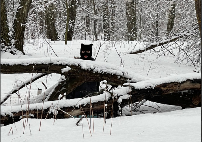 ����� ����