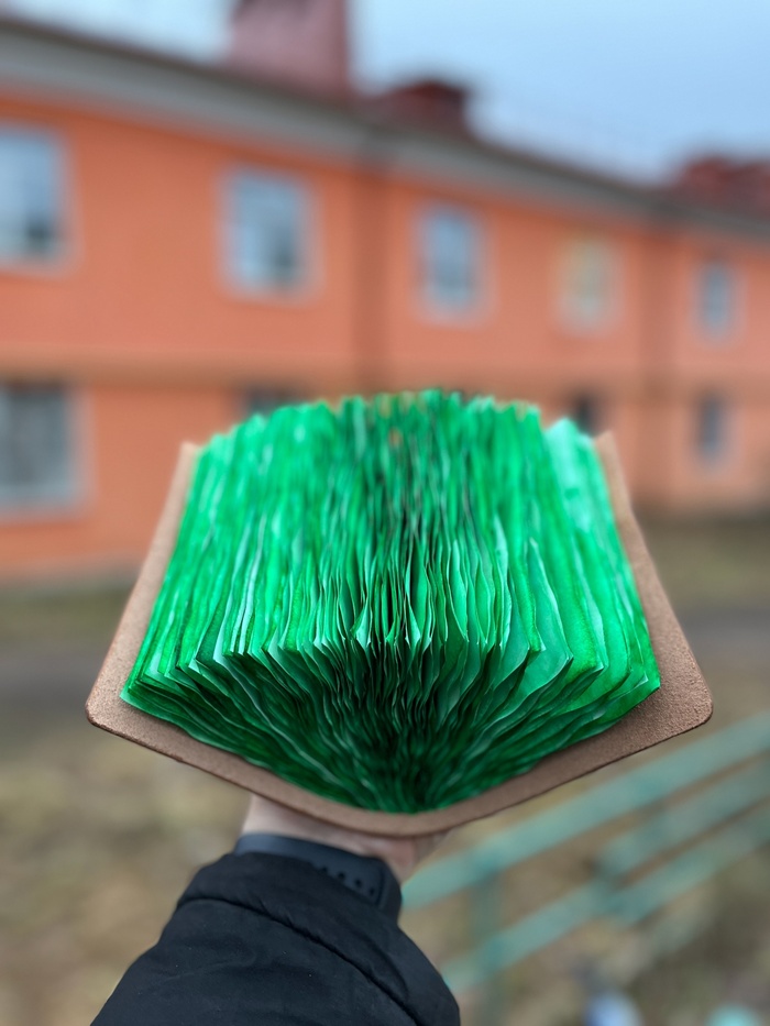  6    ,  ,  , , ,  , ,   ,   , , , , , , 