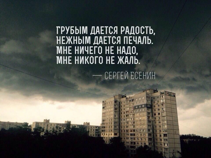Ответ на пост «Как привлечь внимание парня если все свободное время он проводит в киберспорте?»