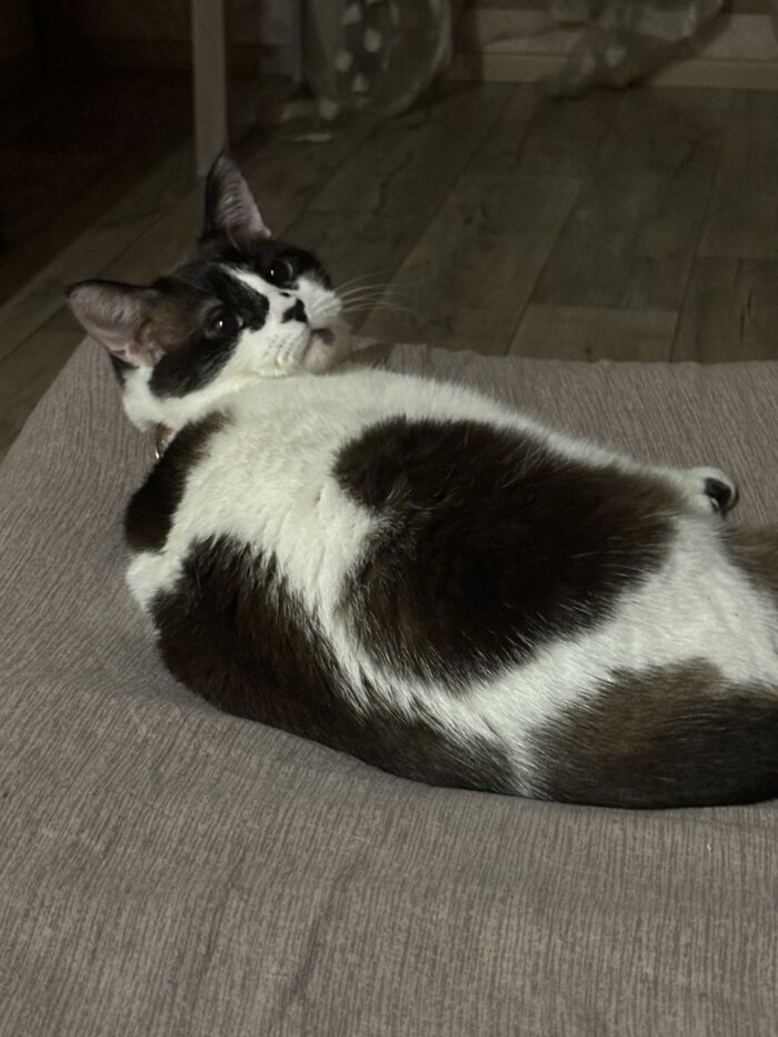 ���� �������� �� ����