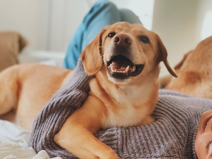 Как я готовлюсь к приему маленьких пациентов — мои ритуалы и секреты настроя