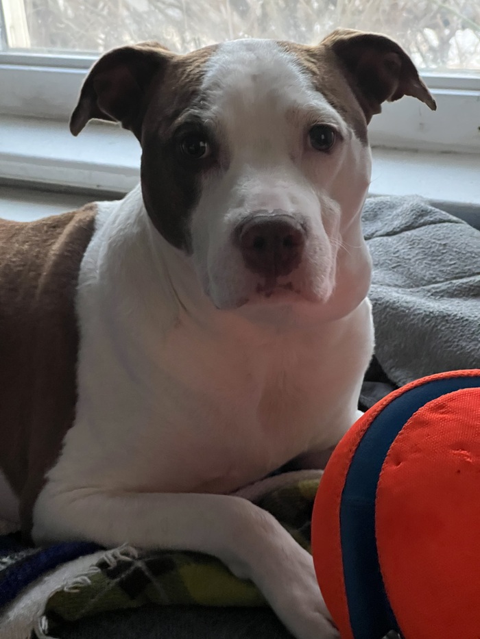 Squamous cell carcinoma � ������